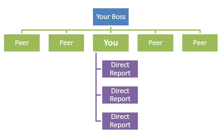 boss-sub-peer-org-chart